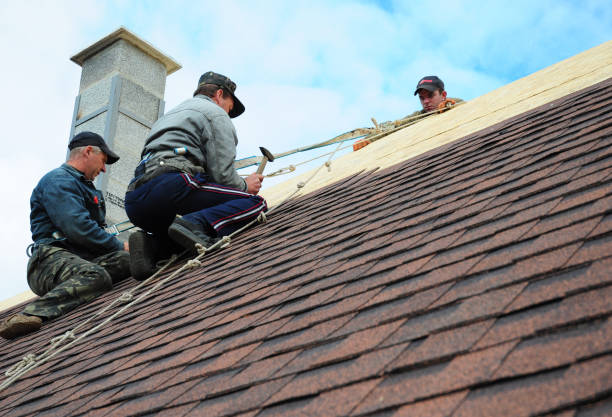 Best Gutter Installation and Roofing  in Tiger Point, FL